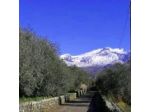 Agriturismo Il Sentiero degli Ulivi