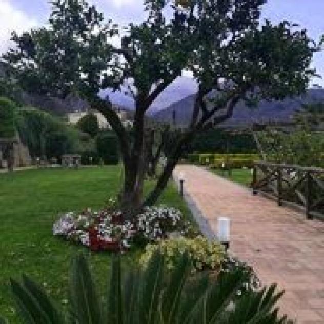 Vico Eventi S.r.l. - Foto 2