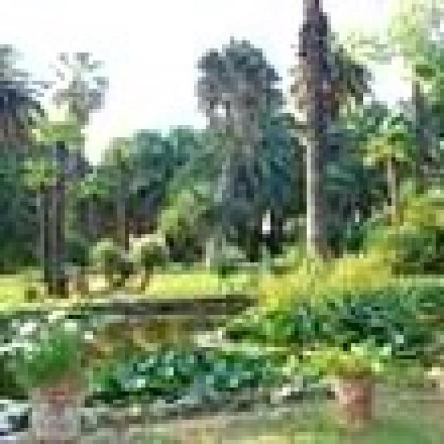 La Piaggetta - Foto 2