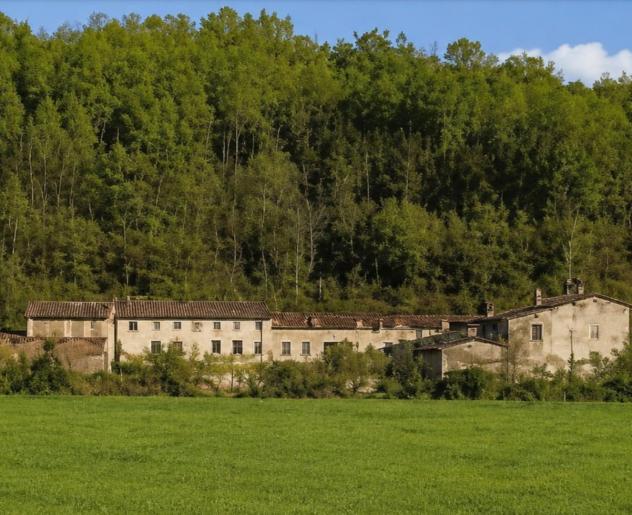 Azienda agricola in vendita a Montopoli in Val d'Arno 2000 mq Rif: 1449630