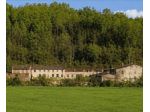 Azienda agricola in vendita a Montopoli in Val d'Arno 2000 mq  Rif: 1449630