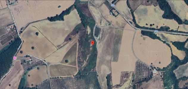 Immobile in asta di 91890 m² in vendita a Campagnatico - Foto 10