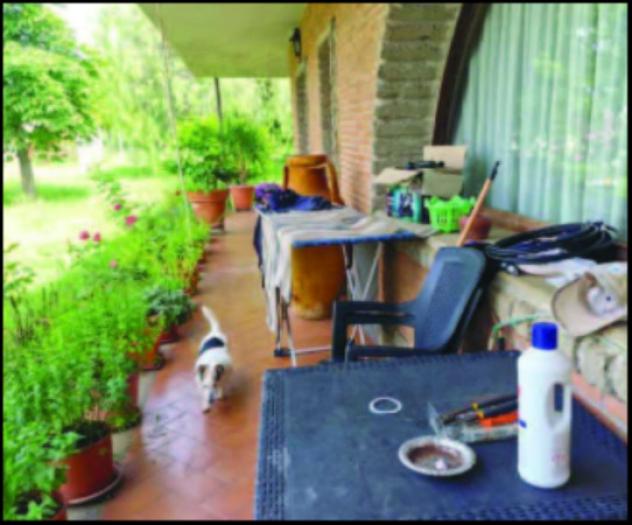 Immobile in asta di 299 m², box auto in vendita a Lanuvio - Foto 16