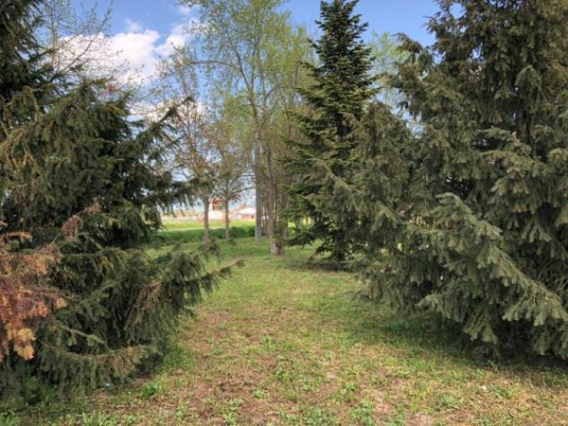 Rustico / Casale di 1100 m² con più di 5 locali in vendita a Carpi - Foto 9