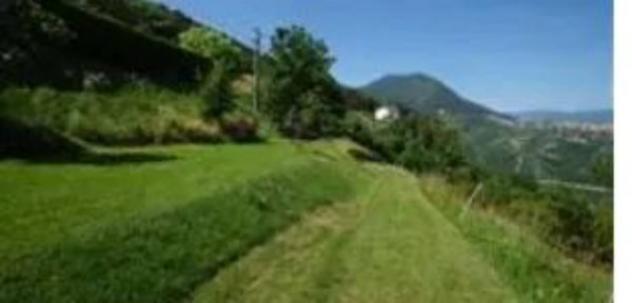 Immobile in asta di 2933 m² in vendita a Cles - Foto 2