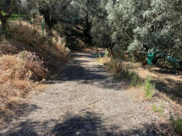 Immobile in asta di 27621 m² in vendita a Galatro - Foto 13