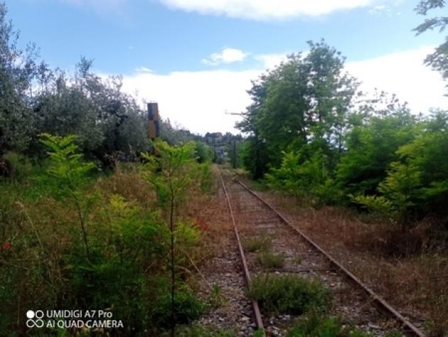 Uliveto in vendita a Lanciano - Foto 6