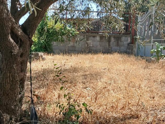 Agricolo in vendita a Misterbianco - Foto 8