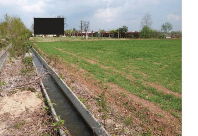 Immobile in asta di 23912 m² in vendita a Paese - Foto 7