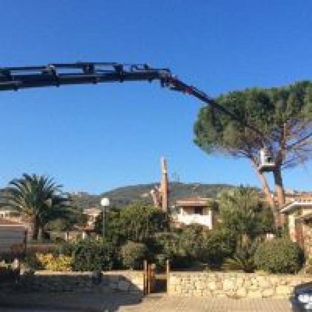 Scanu Giardini - Foto 4