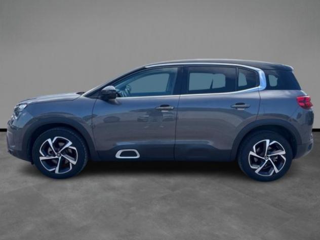 CITROEN C5 Aircross BlueHDi 130 S&S Business rif. 23994872 - Foto 2
