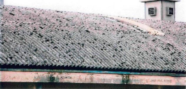 Immobile in asta di 1200 m² in vendita a Palazzolo sull'Oglio - Foto 3