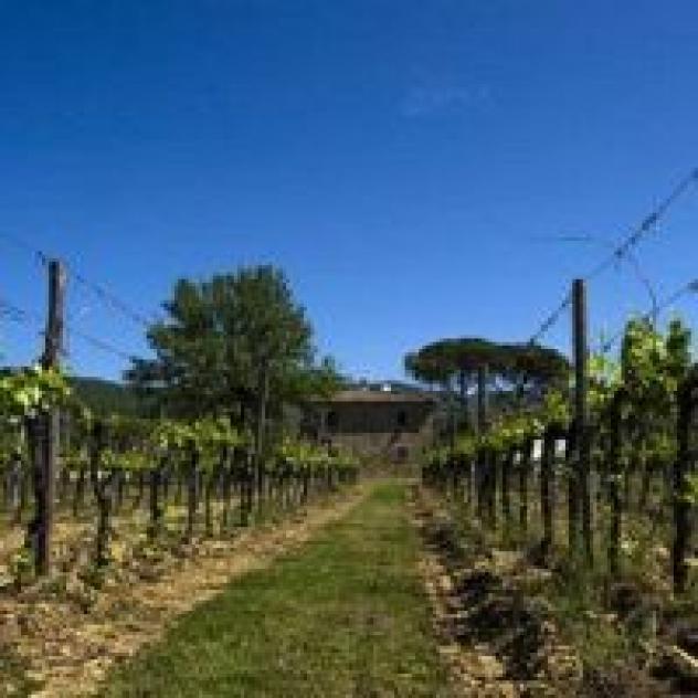 Agriturismo La Concezione Tenute di Fraternita - Foto 2