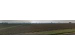 Vendita Terreno agricolo da 127185 mq  in Via Masini con giardino