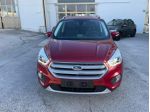 FORD Kuga 2.0 TDCI 150 CV S&S 4WD Titanium rif. 20228827