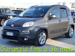 FIAT Panda 1.0 FireFly 70cv S&S Hybrid City Life