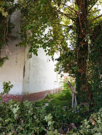 Casa singola in vendita a San Miniato Basso - San Miniato 280 mq Rif: 1341411 - Foto 4