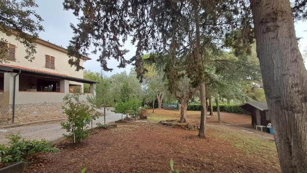 Casa singola in vendita a Suvereto 240 mq Rif: 1424790 - Foto 5