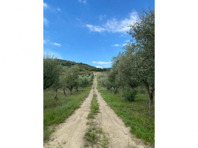 Agricolo in Via Frascinelle - Foto 6