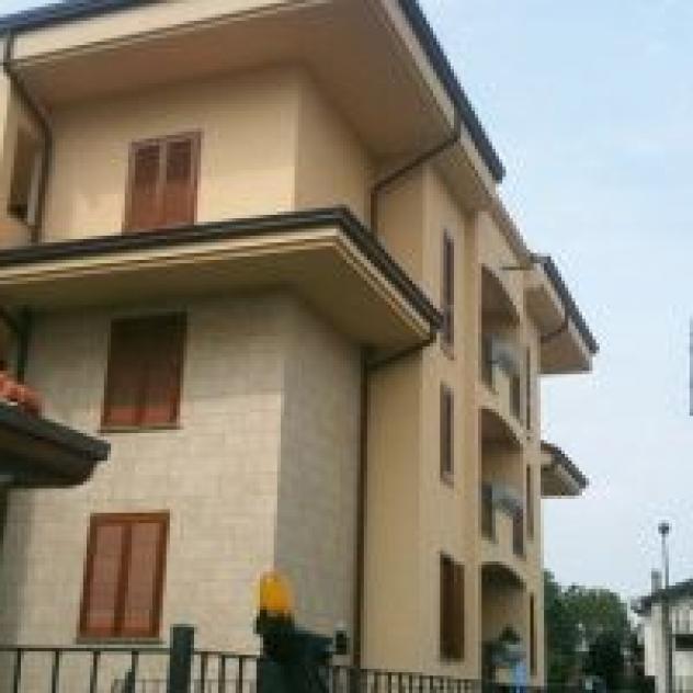 Impresa Edile Rucireta
