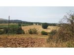 Azienda agricola in vendita a Istia D'ombrone - Grosseto 200 mq  Rif: 1401134