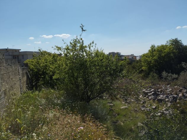 Terreno edificabile - Foto 10