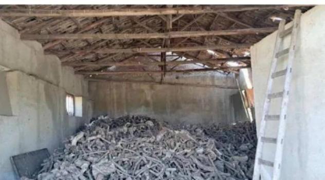 Immobile in asta di 403360 m² in vendita a Cittanova - Foto 2