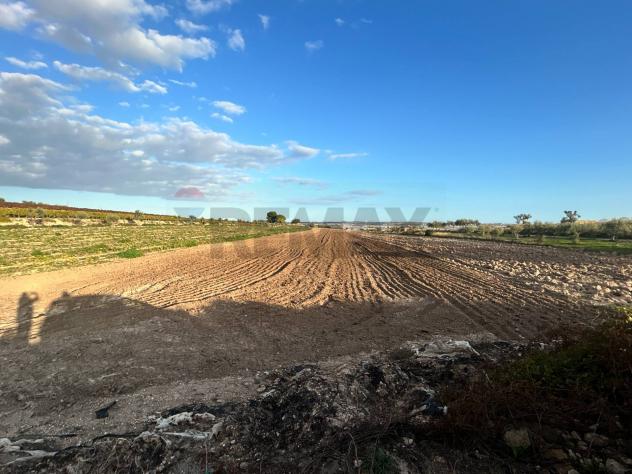 Terreno in vendita a Noto - Foto 8