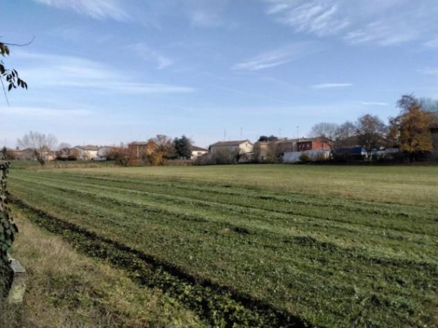 Immobile in asta di 37388 m² in vendita a Novellara - Foto 10