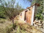 Agricolo in Strada San Pietro