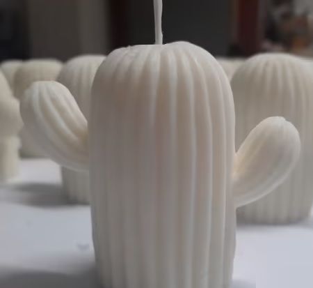 Candele cera di soia