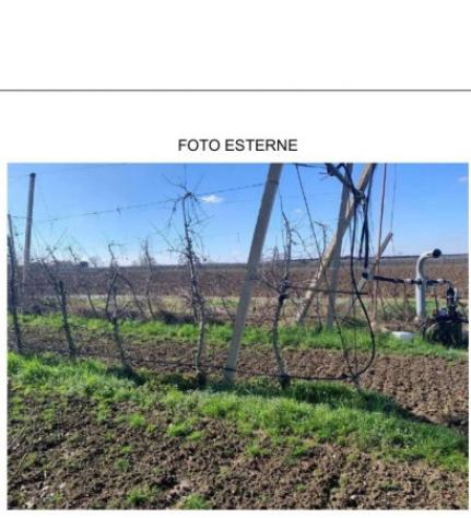 Immobile in asta di 225 m² con più di 5 locali in vendita a Caldiero - Foto 20