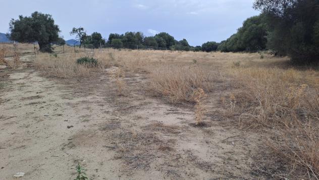 Agricolo in vendita a Quartucciu - Foto 10