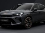 CUPRA Formentor 2.0 tdi business 150cv dsg rif. 24138921
