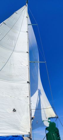 Bonin 26 - Foto 2