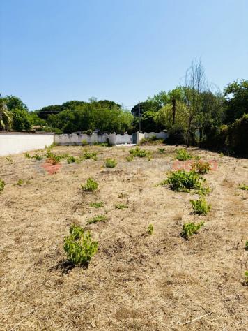 Terreno Agricolo - Terracina . Rif.: Cod. rif 3250892VCG - Foto 13