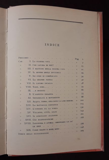 NOI E I NOSTRI COMPAGNI DI VIAGGIO, MARIA BARGONI STURA, G. PRINCIPATO 1941. - Foto 2