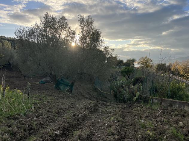 Agricolo in Via Molino Vecchio - Foto 4