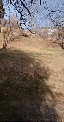 TERRENO AGRICOLO DA PRIVATO
