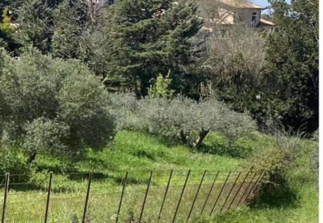 Immobile in asta di 3414 m² in vendita a Corleone - Foto 5