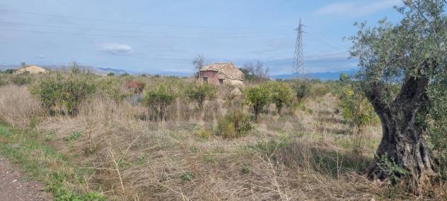 Terreno in vendita a Paternò - Foto 6