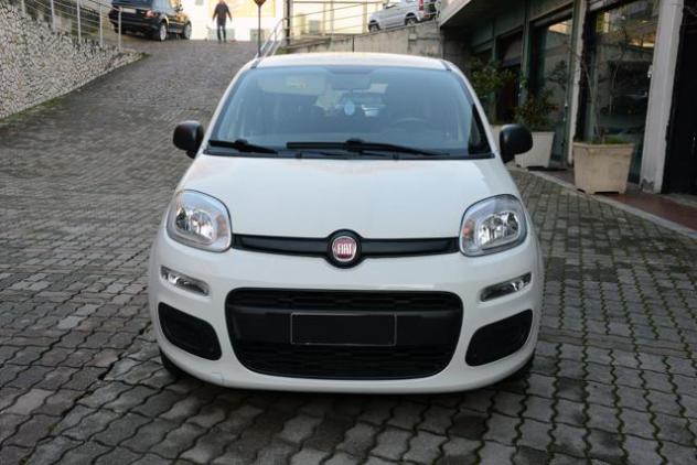 FIAT Panda 1.0 FireFly S&S Hybrid rif. 23940299 - Foto 8