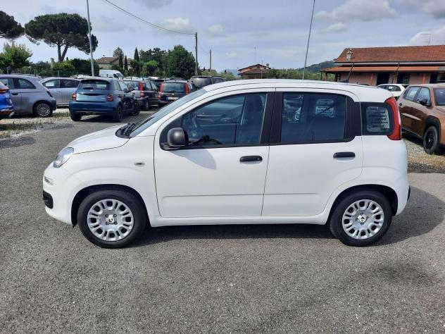 FIAT Pandina PANDA MY26 1.0 65CV HYBRID ICON - Foto 4