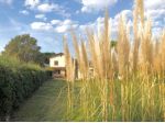 Villa in vendita a Empoli 330 mq  Rif: 1016720