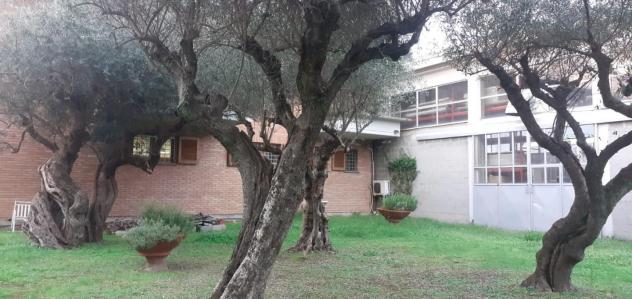 Casa singola in vendita a Massa 240 mq Rif: 1230300 - Foto 2