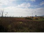 Immobile in asta di 11700 m² in vendita a Bientina