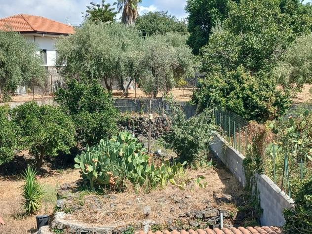 Agricolo in vendita a Misterbianco - Foto 3