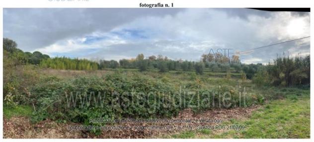 IMMOBILI-ALTRA CATEGORIA-Viale del Vergaiolo, 51018 Pieve A Nievole PT, Italia