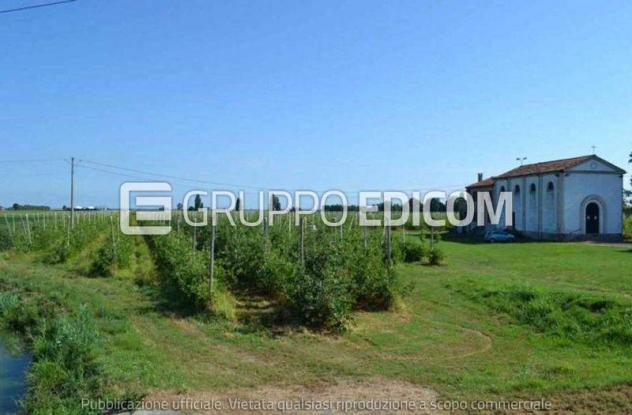 Terreno di 47488 mq in vendita a Villa Bartolomea - Rif. 4546681 - Foto 3