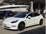 TESLA Model 3 Long Range AWD Performance rif. 24115190